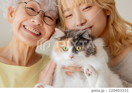 猫の居る暮らし 120403331