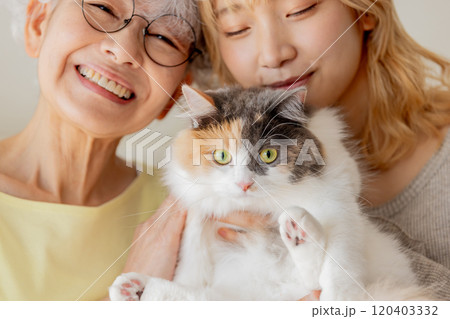 猫の居る暮らし 120403332