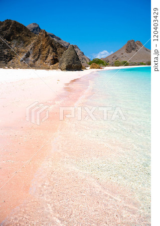インドネシア・コモド国立公園の絶景　ピンクビーチの景観 120403429