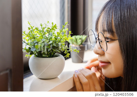 造花の観葉植物を設置する女性　インテリア 120403506