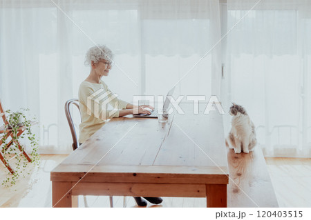 猫の居る暮らし 猫の居る暮らし 120403515