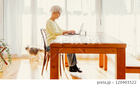 猫の居る暮らし 120403522