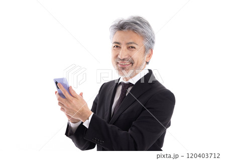 スマホを使うビジネスマン スマホを使うビジネスマン 120403712