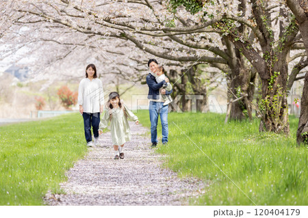 桜の咲く公園を歩く家族 120404179