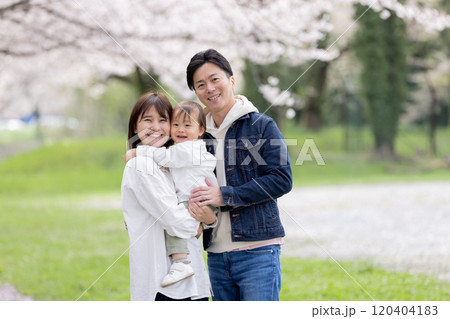 桜の咲く公園を歩く家族 120404183