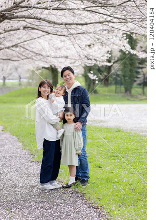 桜の咲く公園を歩く家族 桜の咲く公園を歩く家族 120404184