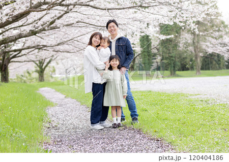 桜の咲く公園を歩く家族 120404186