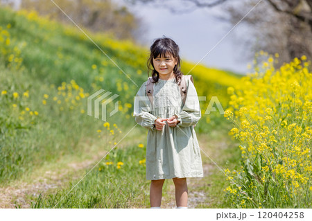 菜の花畑の中をランドセルを背負って歩く女の子 120404258