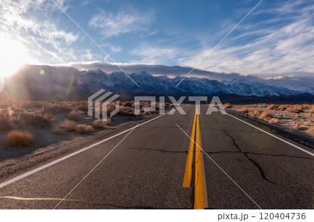 Lone pine California 120404736