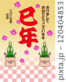 年賀状2025年巳年 120404853