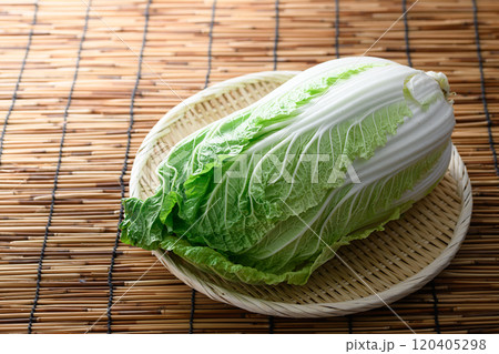 ざるにのせた新鮮な白菜 120405298