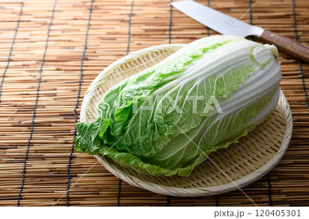 ざるにのせた新鮮な白菜 120405301