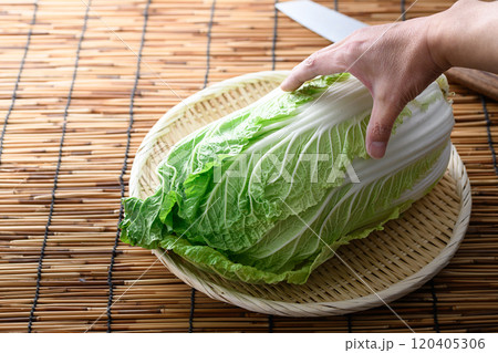 ざるにのせた新鮮な白菜 120405306
