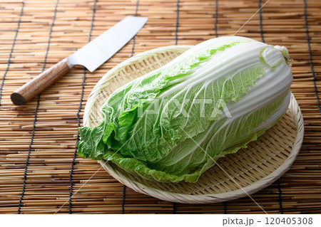 ざるにのせた新鮮な白菜 120405308