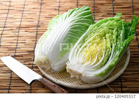 ざるにのせた新鮮な白菜 120405317