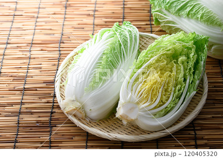 ざるにのせた新鮮な白菜 120405320