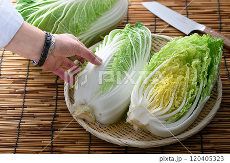 ざるにのせた新鮮な白菜 120405323