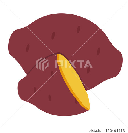 サツマイモ 120405418