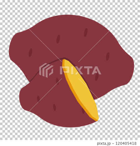 サツマイモ 120405418