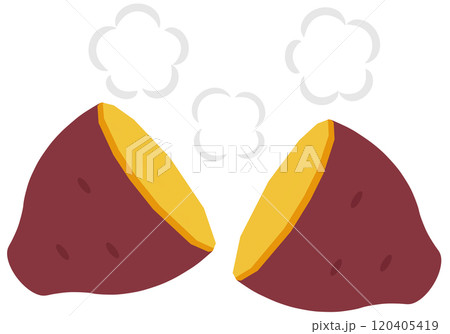 サツマイモ 120405419