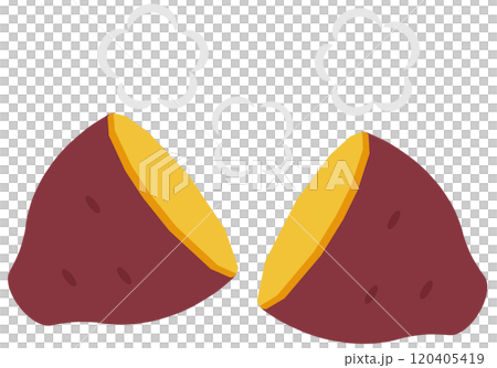 サツマイモ 120405419