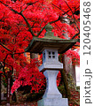 紅葉に包まれる鐘楼 120405468