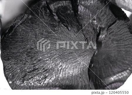 木炭（備長炭）の破断面【背景素材】 120405550