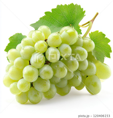 Fresh green grapes with vibrant leaves, perfect for healthy snacking or adding to dishes. Their juicy texture and sweet flavor make them delightful choice for any occasion 120406153