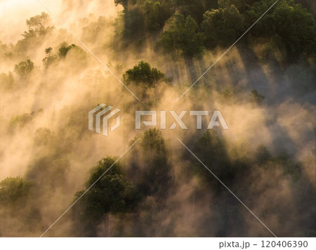 Aerial view morning mist and trees on a mountain in Asia Aerial view morning mist and trees on a mountain in Asia 120406390