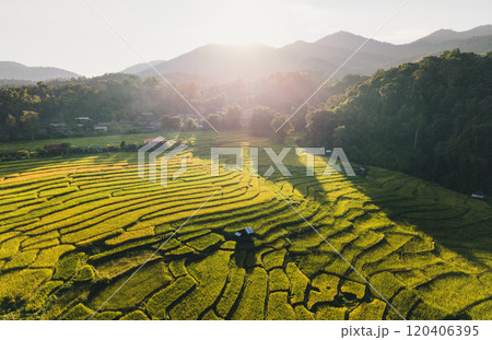 Aerial view of rice paddy field With natural evening light Aerial view of rice paddy field With natural evening light 120406395