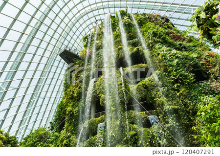 シンガポールにある植物園、クラウド・フォレスト 120407291