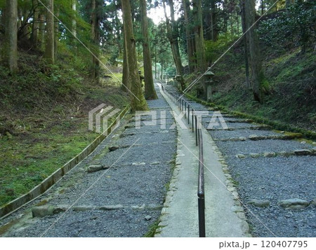 延暦寺東塔と西塔を繋ぐ長い参道 延暦寺東塔と西塔を繋ぐ長い参道 120407795