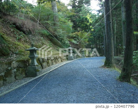 延暦寺東塔と西塔を繋ぐ長い参道 延暦寺東塔と西塔を繋ぐ長い参道 120407796