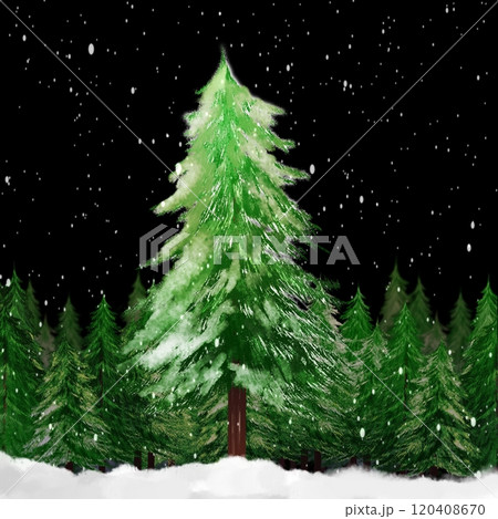 雪降る森 雪降る森 120408670