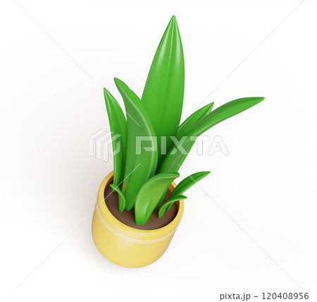 3d house plant in flower pot for home and office interior decor. Green tall houseplant, sansevieria, bush of leaves or grass in yellow planter with soil, isolated cartoon render icon. 3D illustration 120408956