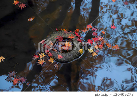 山梨:恵林寺の紅葉 山梨:恵林寺の紅葉 120409278