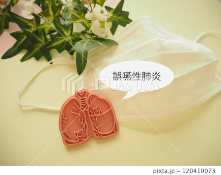 肺の模型と誤嚥性肺炎の文字 120410073