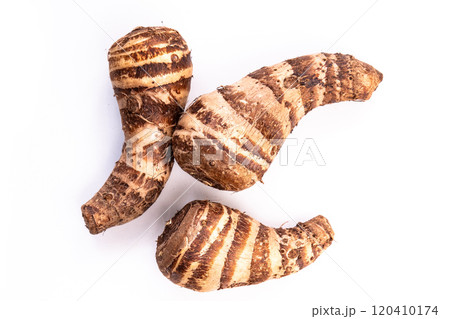 京野菜の海老芋 京野菜の海老芋 120410174