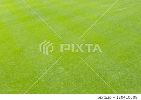 緑の芝が敷き詰められた背景素材 エスコンフィールド北海道 緑の芝が敷き詰められた背景素材 エスコンフィールド北海道 120410309