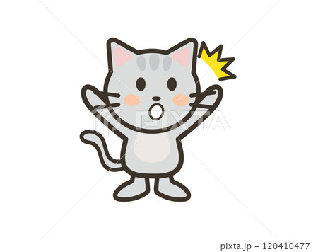 両手を広げてびっくりするかわいいねこちゃんのイラスト 両手を広げてびっくりするかわいいねこちゃんのイラスト 120410477