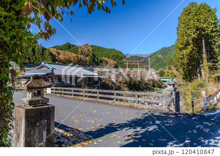 秋の大芦川 120410847