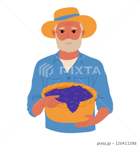 Senior farmer with full basket of grapes. Farming and agriculture. Senior farmer with full basket of grapes. Farming and agriculture. 120411398