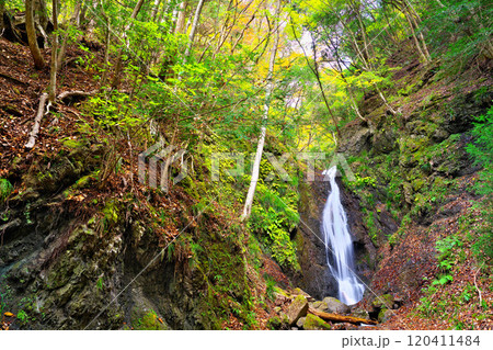 道志川沿いの雄滝 120411484