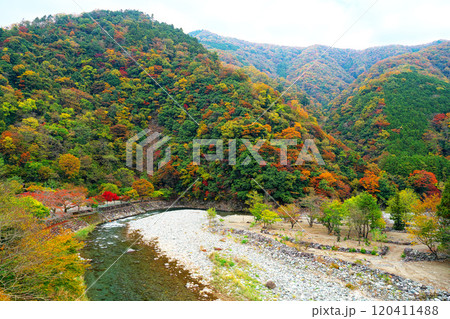 道志川、両国橋の紅葉 120411488