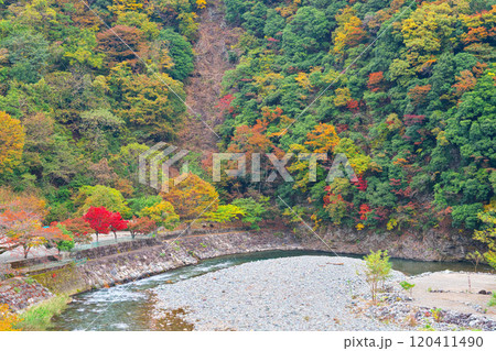 道志川、両国橋の紅葉 120411490
