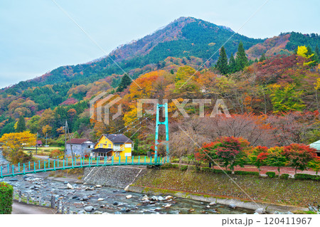 道の駅どうしの紅葉 120411967