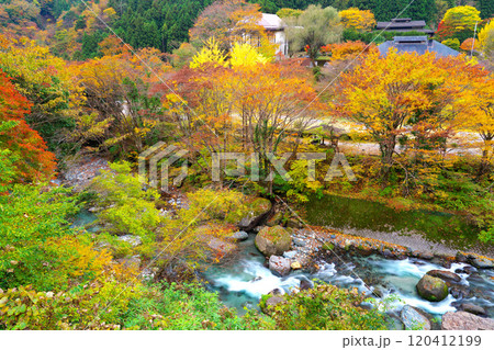 道志川、水源の森の紅葉 120412199