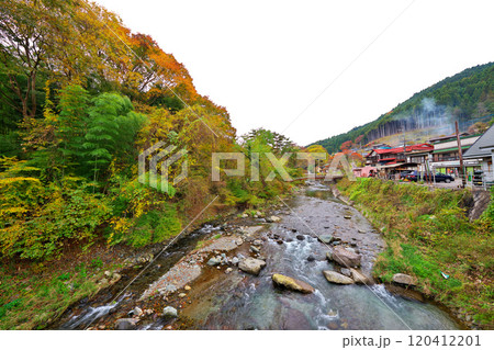 道志川、西和出村の紅葉 120412201