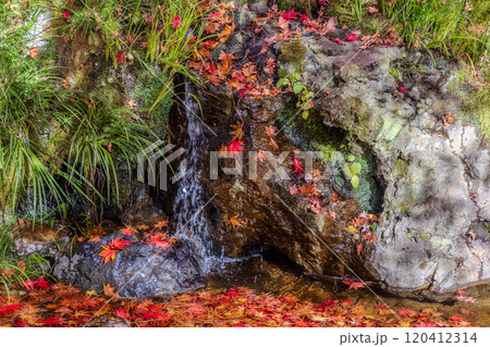 秋の古峰神社境内 120412314
