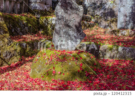 秋の古峰神社境内 120412315